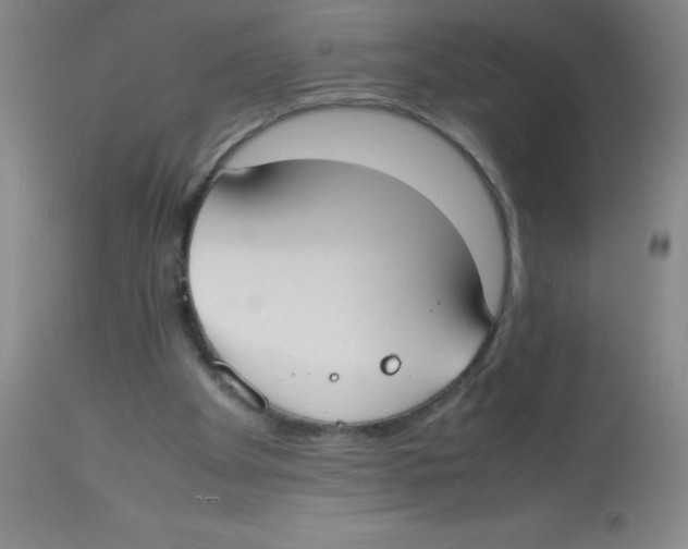 X0000113950105200910232016