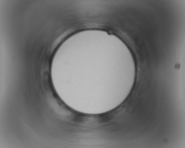 X0000113950107200910232015
