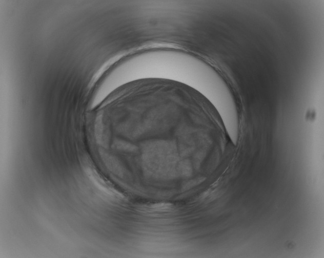 X0000113950108200910232015