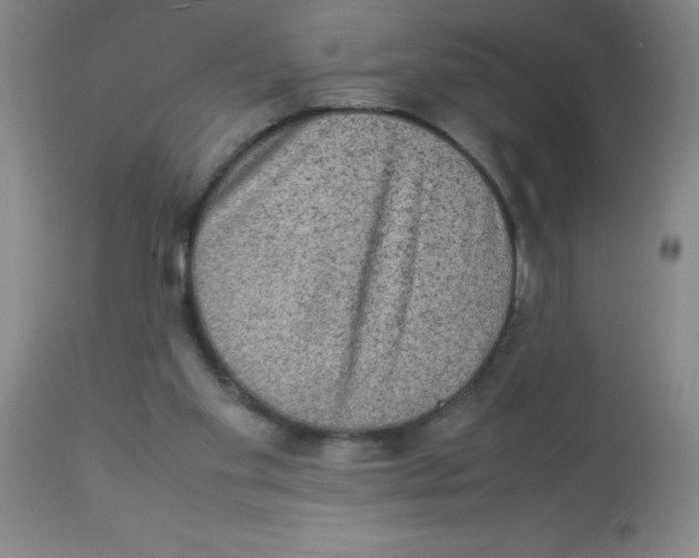 X0000113950109200910232015