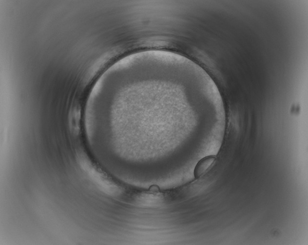 X0000113950110200910232015