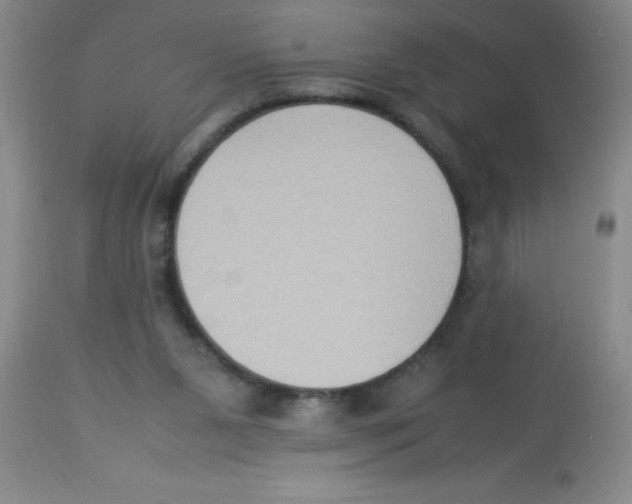 X0000113950111200910232015