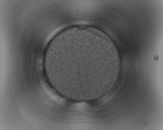 X0000113950112200910232015