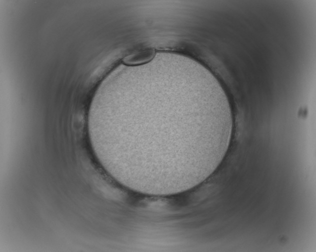 X0000113950113200910232015