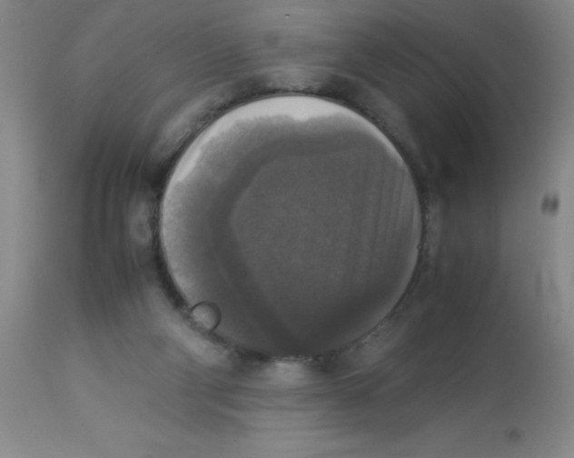 X0000113950114200910232015
