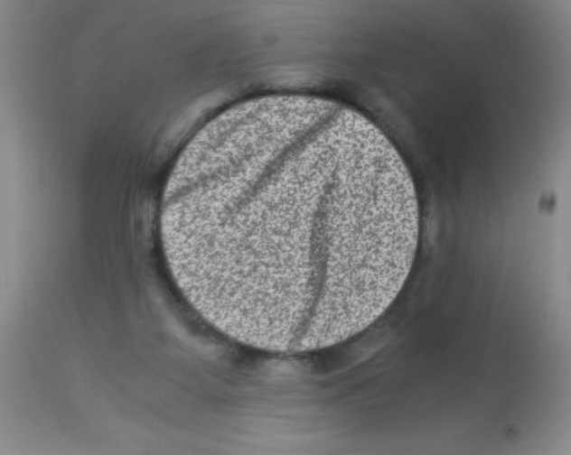 X0000113950115200910232015