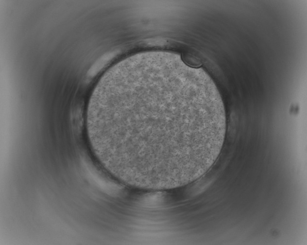 X0000113950116200910232015