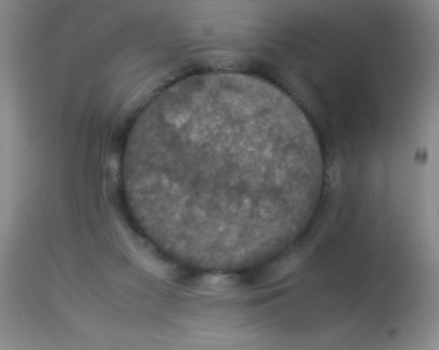 X0000113950117200910232015