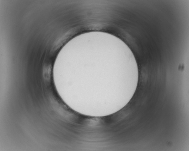 X0000113950118200910232015