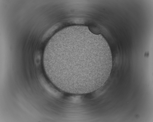 X0000113950120200910232015