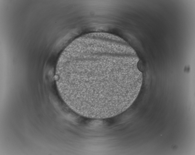 X0000113950123200910232015