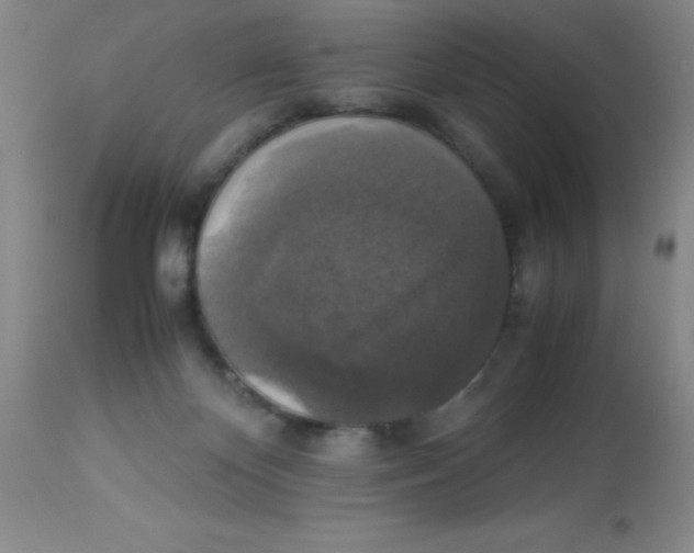 X0000113950124200910232015