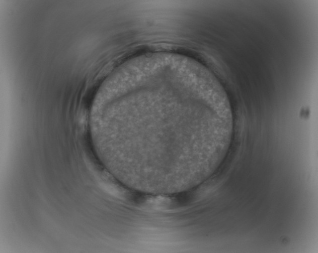 X0000113950125200910232015