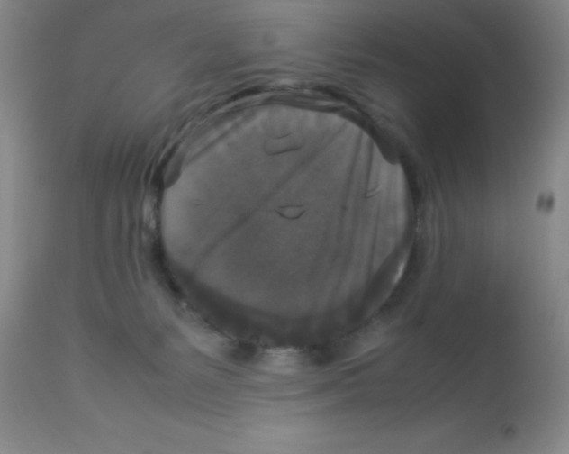 X0000113950127200910232015