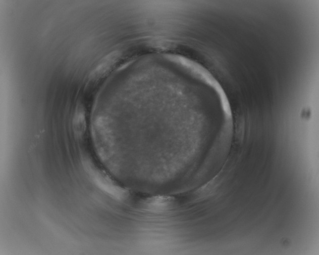X0000113950128200910232015
