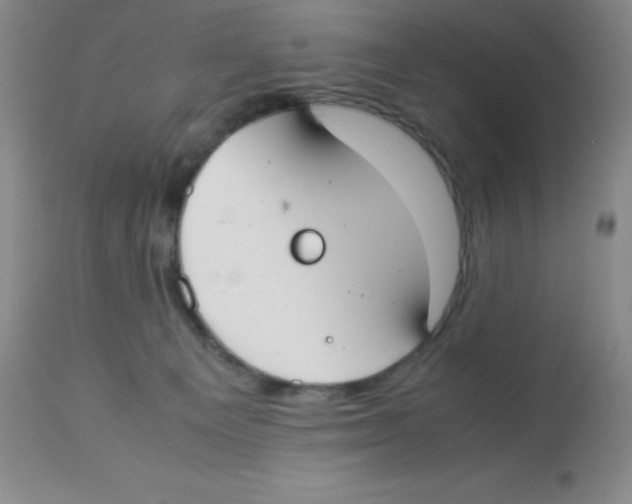 X0000113950129200910232015