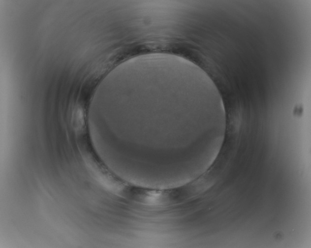X0000113950130200910232015