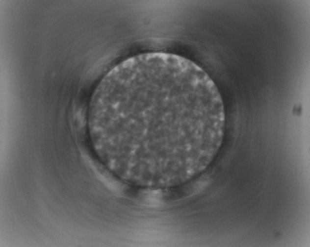 X0000113950131200910232015