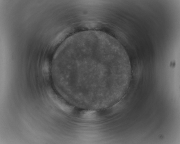 X0000113950132200910232015