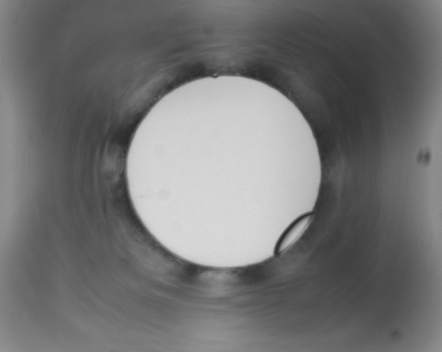 X0000113950133200910232015