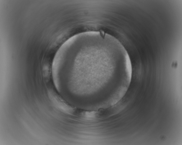 X0000113950134200910232015