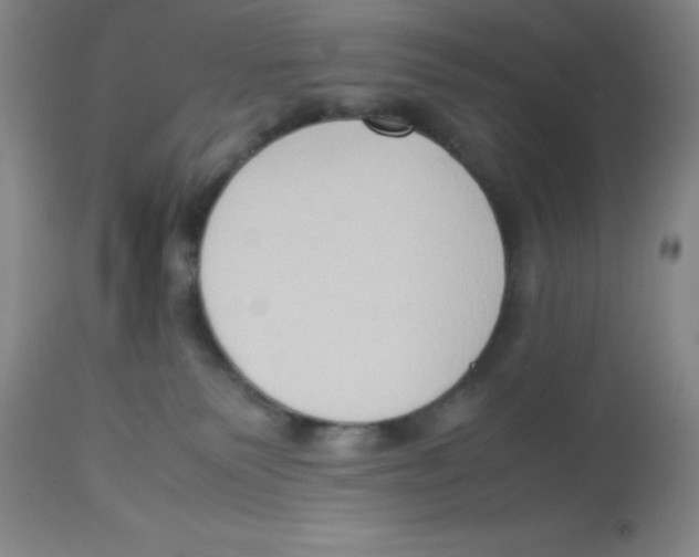 X0000113950135200910232015