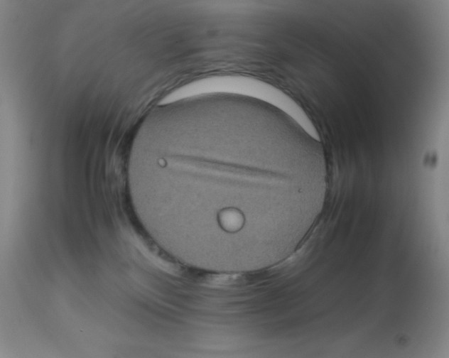 X0000113950136200910232015