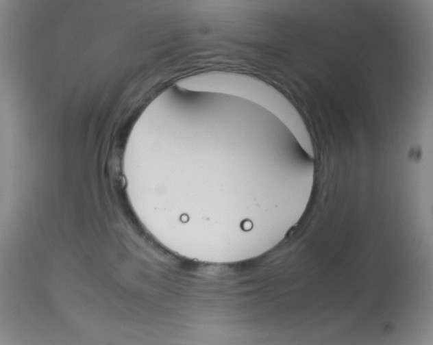 X0000113950137200910232015