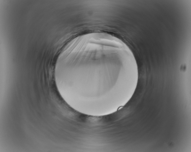X0000113950139200910232015