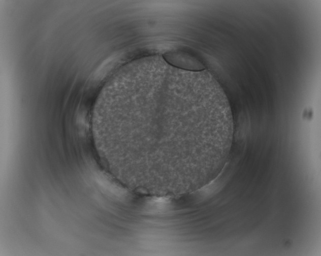 X0000113950140200910232015
