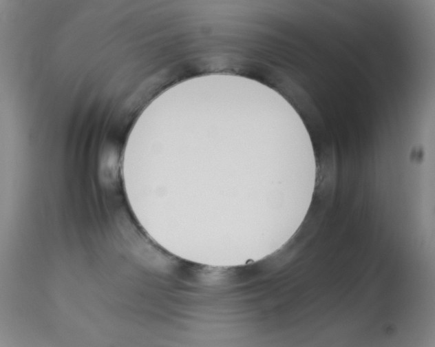X0000113950142200910232015