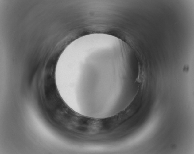 X0000113950143200910232015