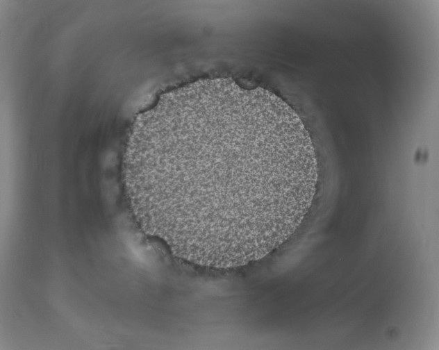 X0000113950144200910232015