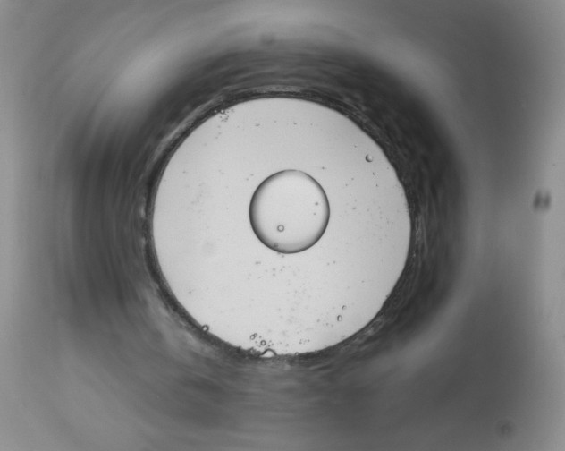 X0000113950146200910232014