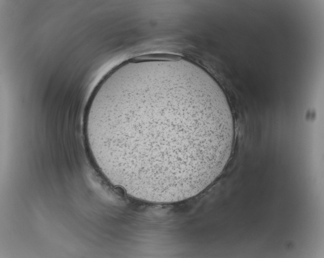 X0000113950148200910232014