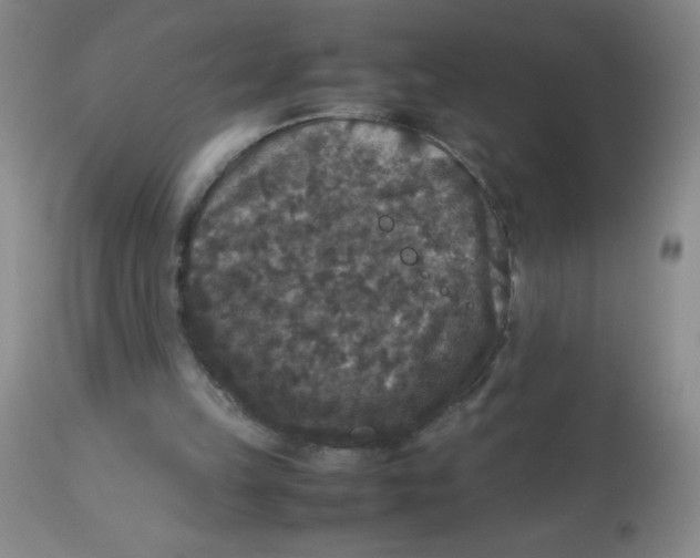 X0000113950149200910232014