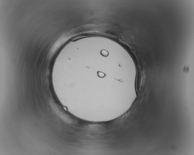 X0000113950150200910232014