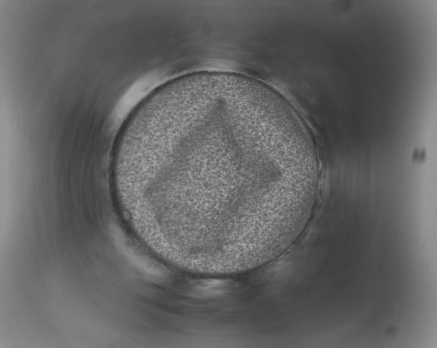 X0000113950151200910232014