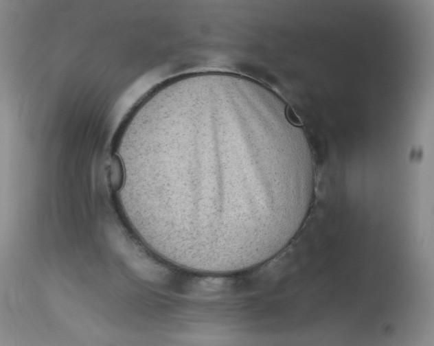 X0000113950152200910232014