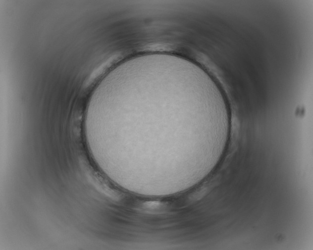 X0000113950153200910232014