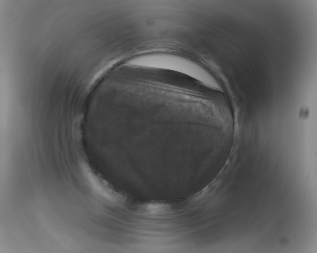 X0000113950154200910232014