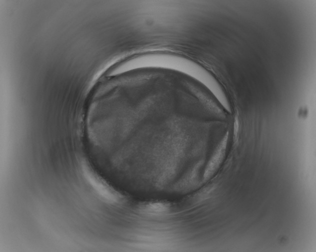X0000113950156200910232014