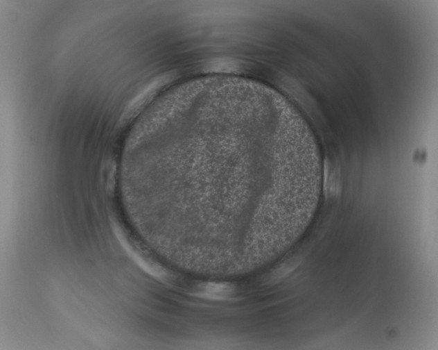 X0000113950157200910232014