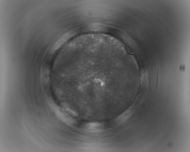 X0000113950158200910232014