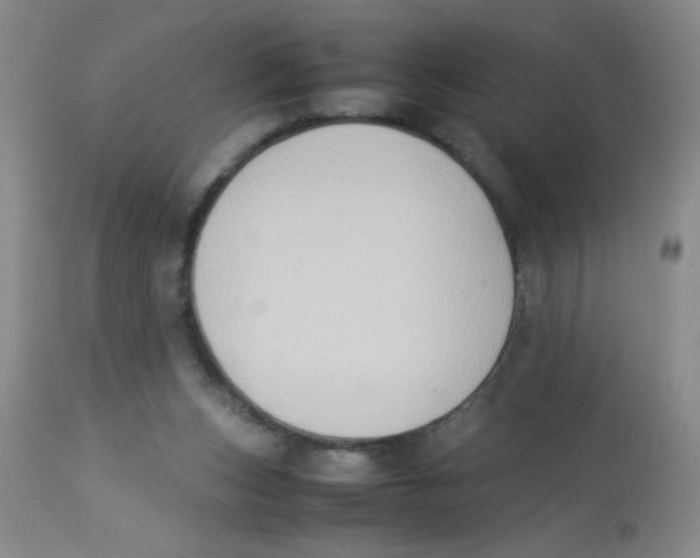 X0000113950159200910232014