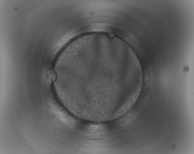 X0000113950160200910232014