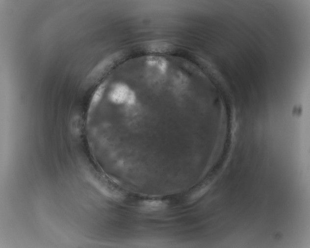 X0000113950161200910232014
