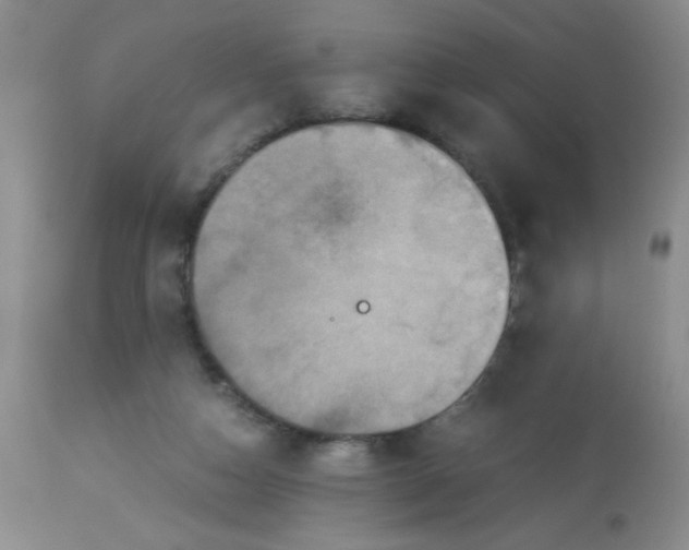 X0000113950162200910232014