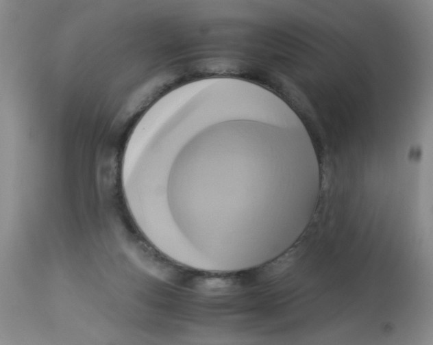 X0000113950163200910232014
