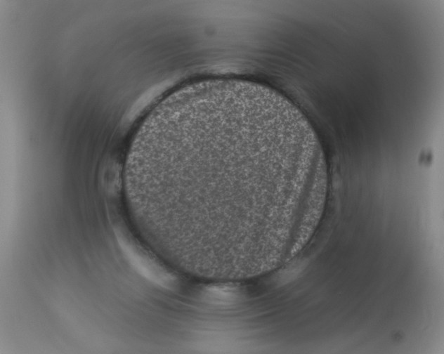 X0000113950164200910232014